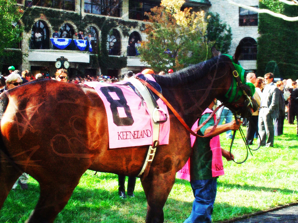 Keeneland Horse photo